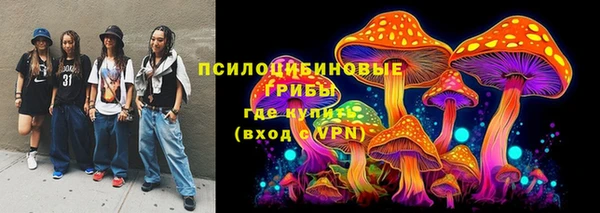 прущие грибы Вяземский